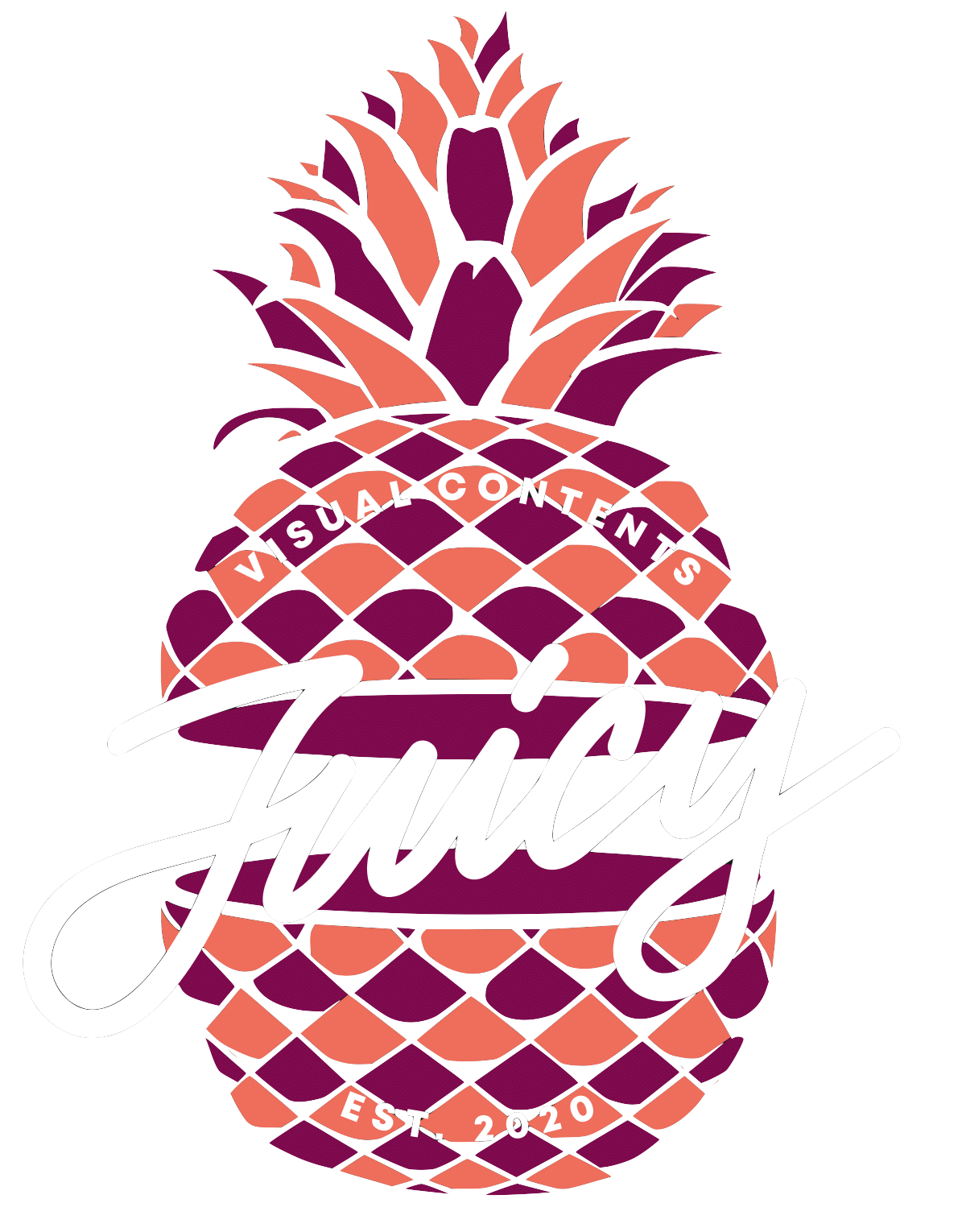 logo Juicy Visual Content